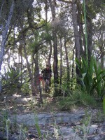 20060226-Mooney 117 